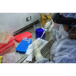 Campo Largo totaliza quase 20.700 casos confirmados de Covid-19